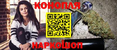 прущие грибы Заводоуковск