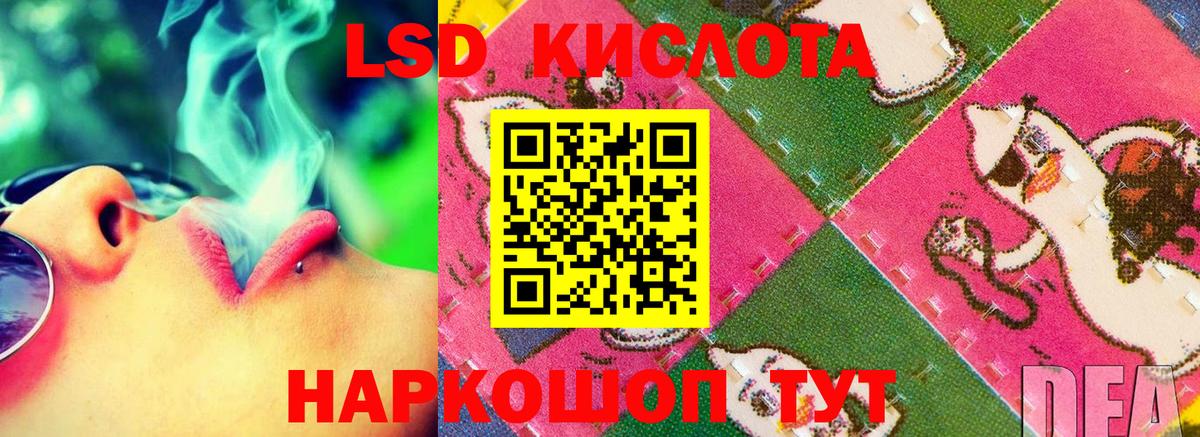 Нововоронеж  kraken сайт  ЛСД экстази кислота  Вход с VPN  Лсд 25 экстази ecstasy 