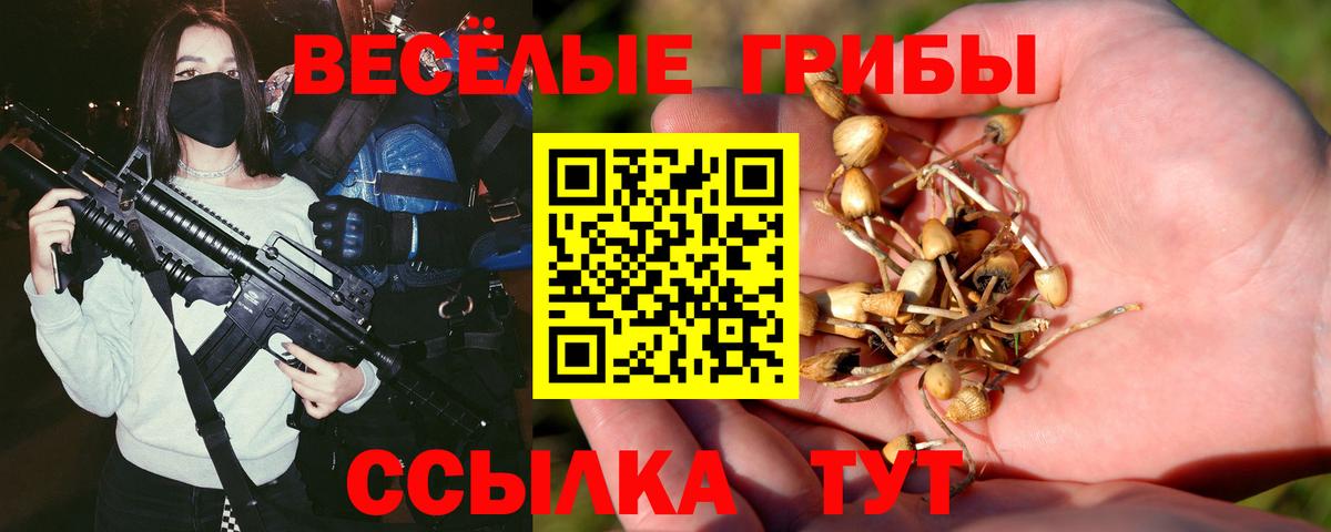 Галлюциногенные грибы ЛСД  Вход с VPN  Нововоронеж 