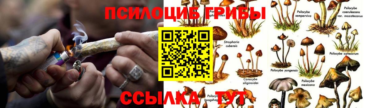 Галлюциногенные грибы мухоморы Нововоронеж
